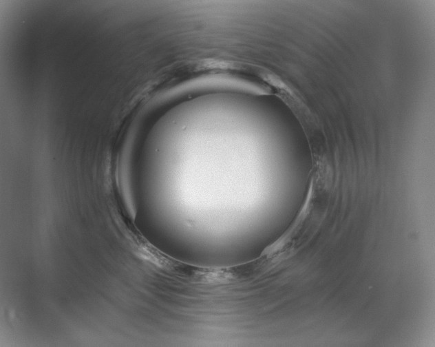 X0000071820621200606301254