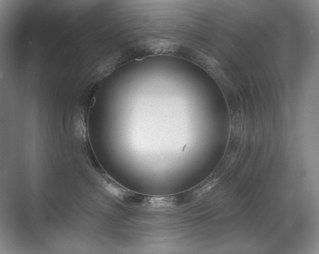 X0000071820622200606301254