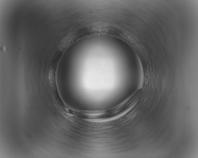 X0000071820623200606301254