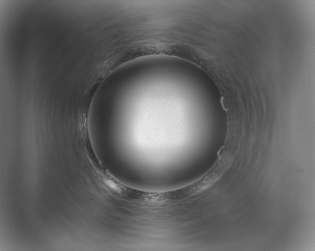 X0000071820624200606301254