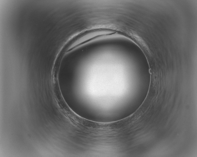 X0000071820628200606301253