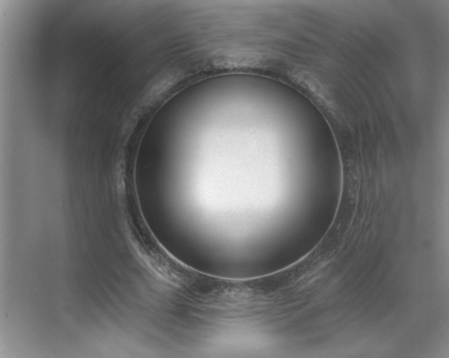 X0000071820631200606301253