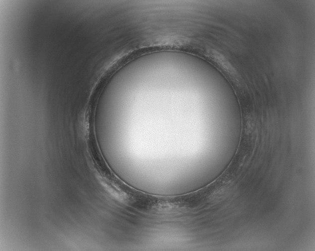 X0000071820632200606301253
