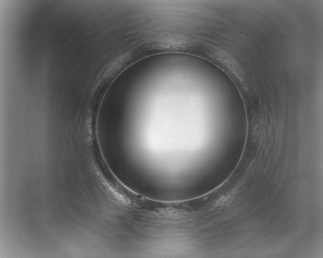 X0000071820633200606301253