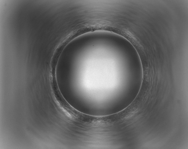 X0000071820634200606301254