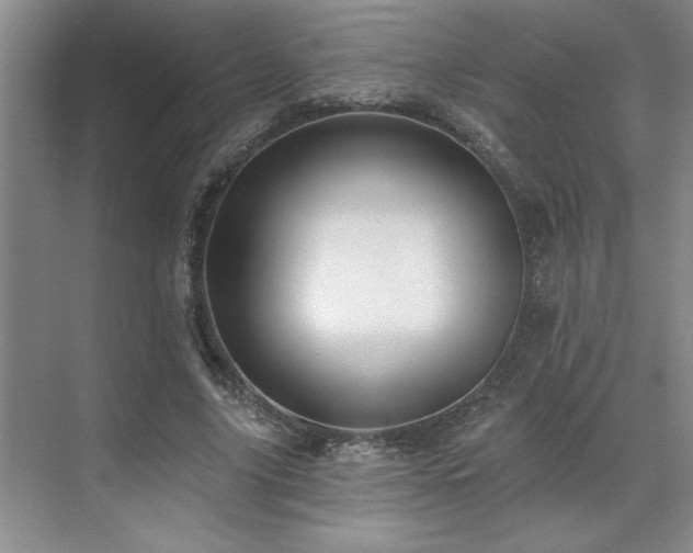 X0000071820635200606301254
