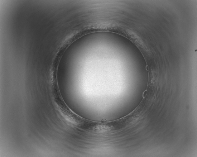 X0000071820636200606301254