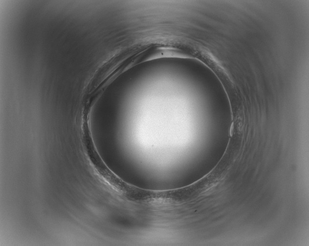 X0000071820637200606301254