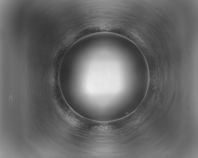 X0000071820639200606301254
