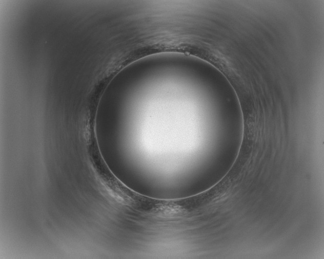 X0000071820642200606301254