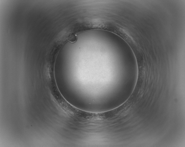 X0000071820643200606301254