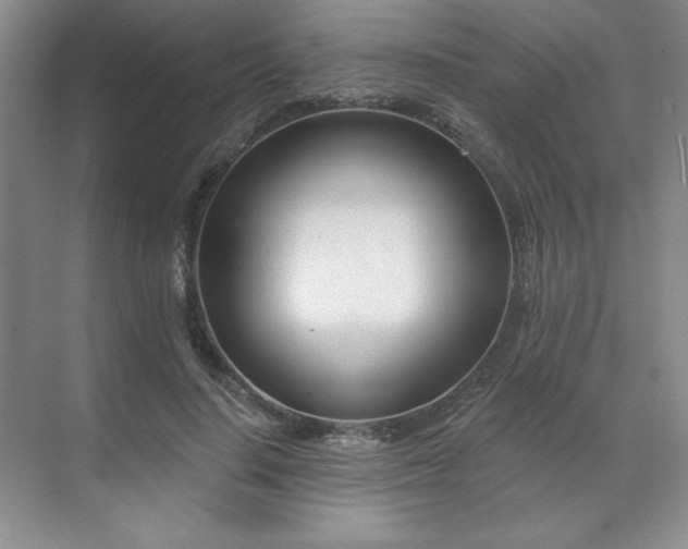 X0000071820644200606301254