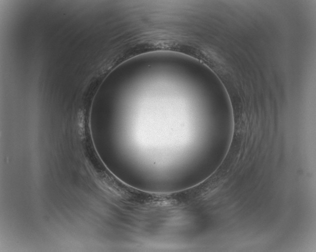 X0000071820646200606301254