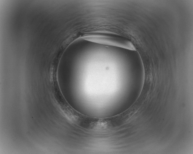 X0000071820647200606301254