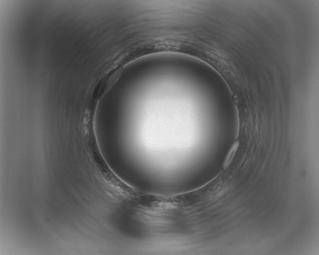 X0000071820649200606301254