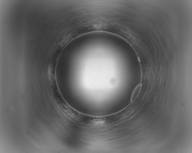 X0000071820651200606301254