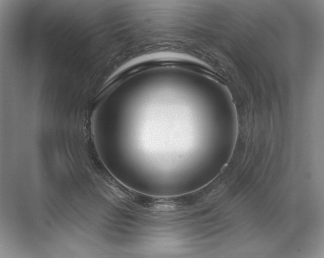 X0000071820653200606301254