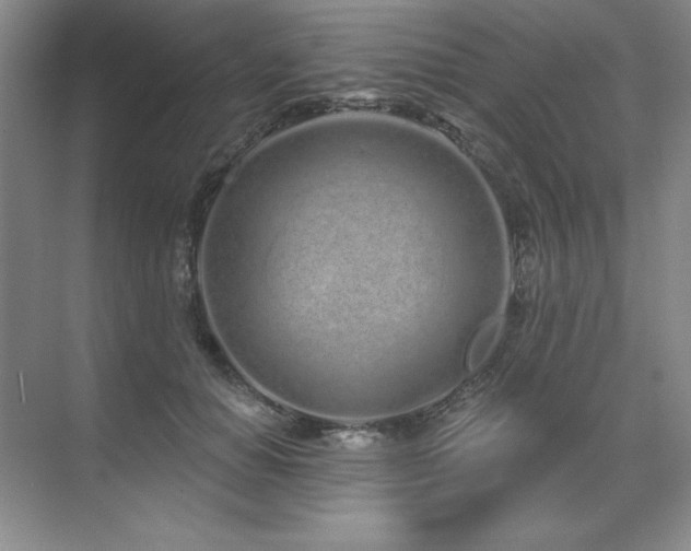 X0000071820654200606301254