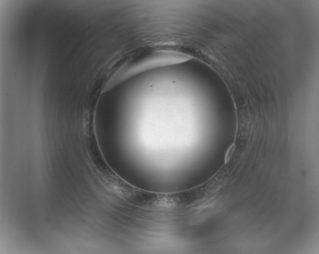 X0000071820656200606301254