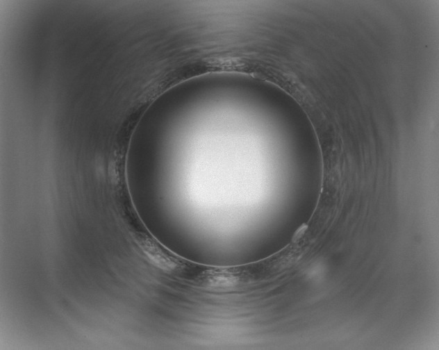X0000071820658200606301254