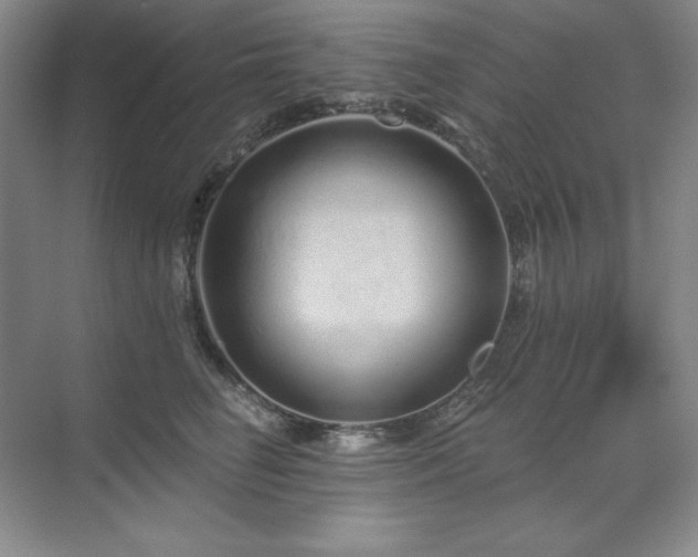 X0000071820662200606301254