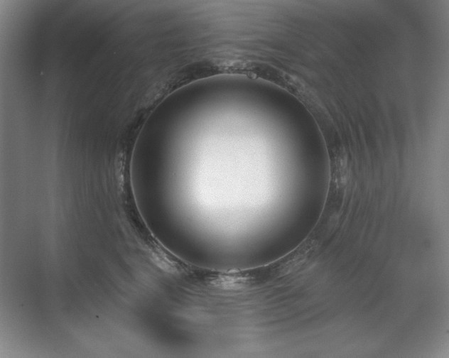 X0000071820664200606301254
