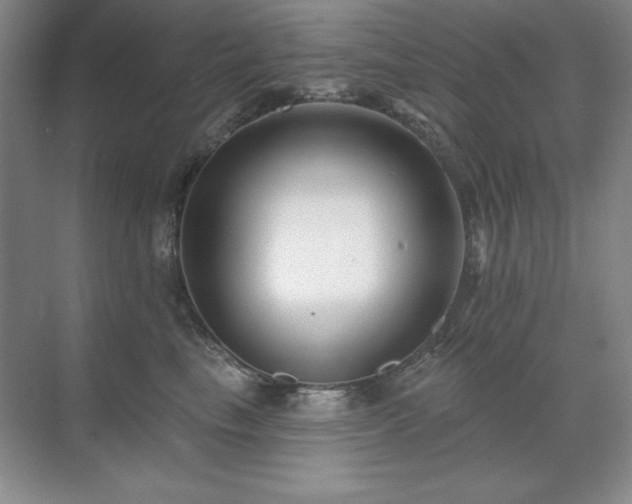 X0000071820665200606301254