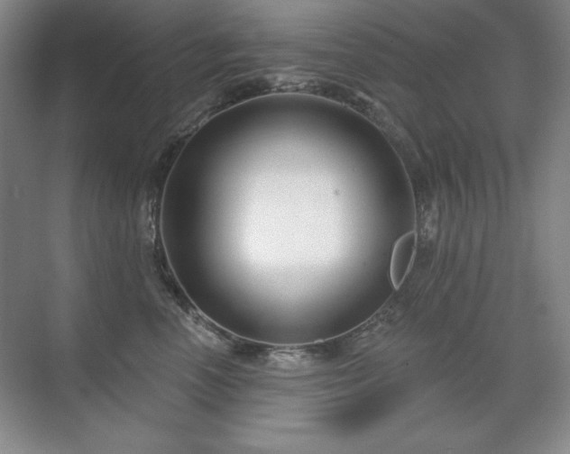 X0000071820666200606301254