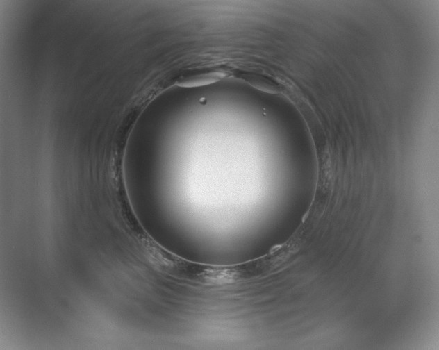X0000071820667200606301254