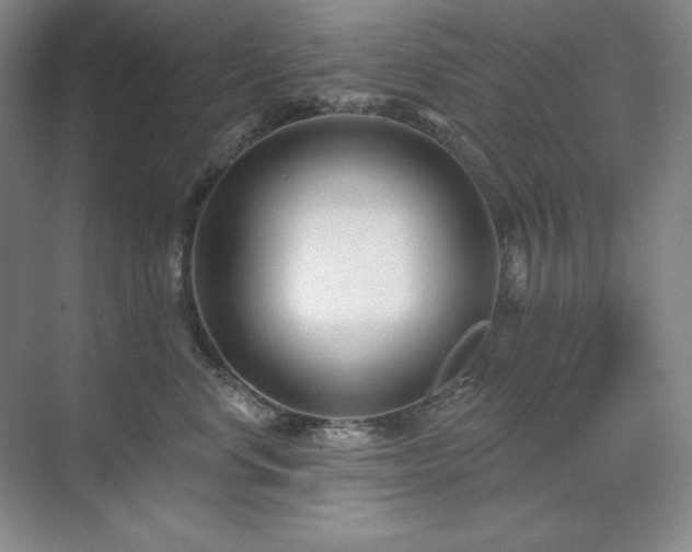 X0000071820668200606301254