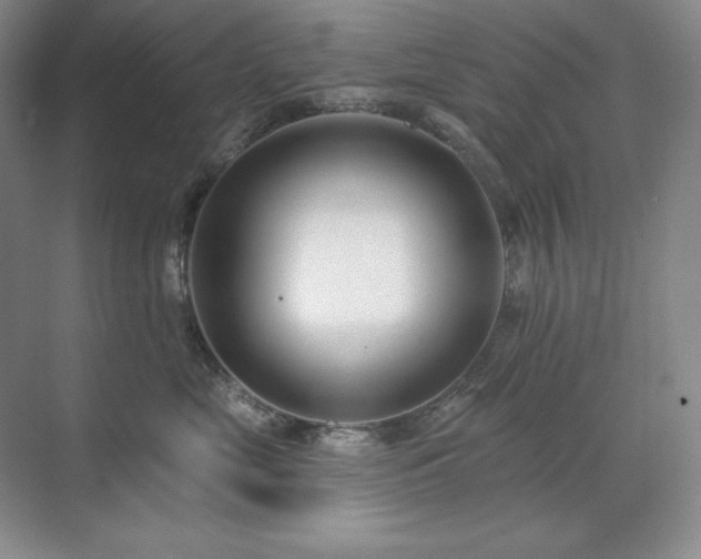 X0000071820669200606301254