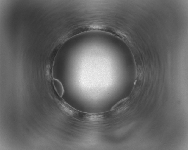 X0000071820670200606301254