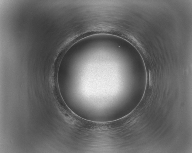 X0000071820675200606301253