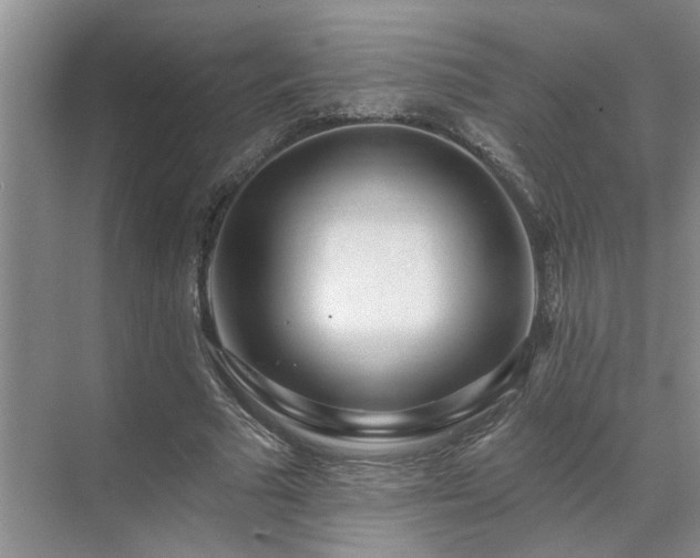X0000071820681200606301253