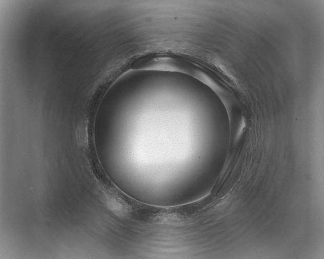 X0000071820685200606301253