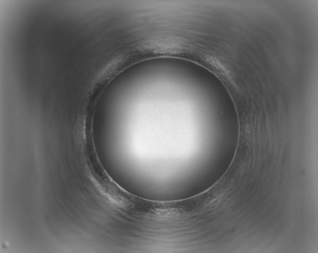 X0000071820686200606301253