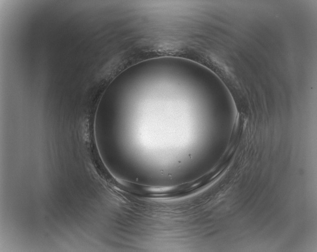 X0000071820689200606301253