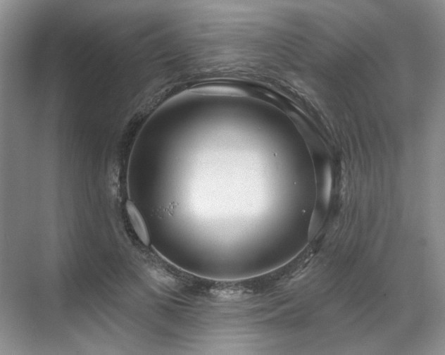 X0000071820693200606301253