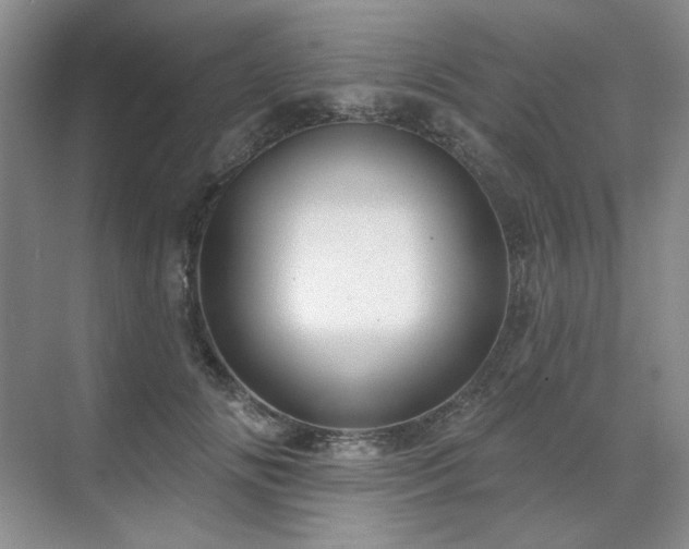 X0000071820702200606301253