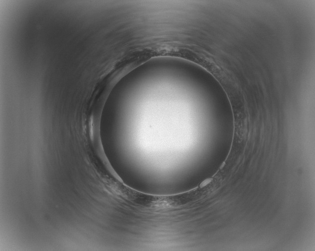 X0000071820704200606301253