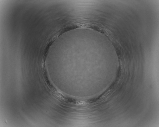X0000071820705200606301253