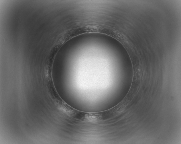 X0000071820706200606301253