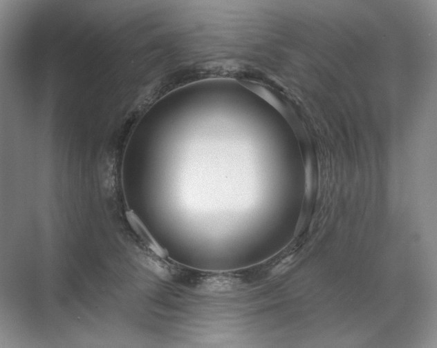 X0000071820708200606301253