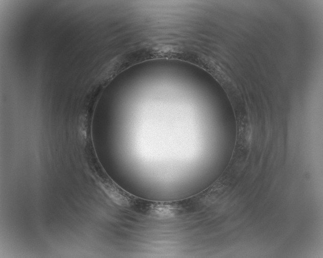 X0000071820710200606301253