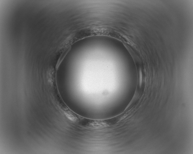 X0000071820712200606301253