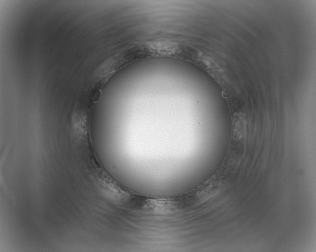 X0000071820713200606301253