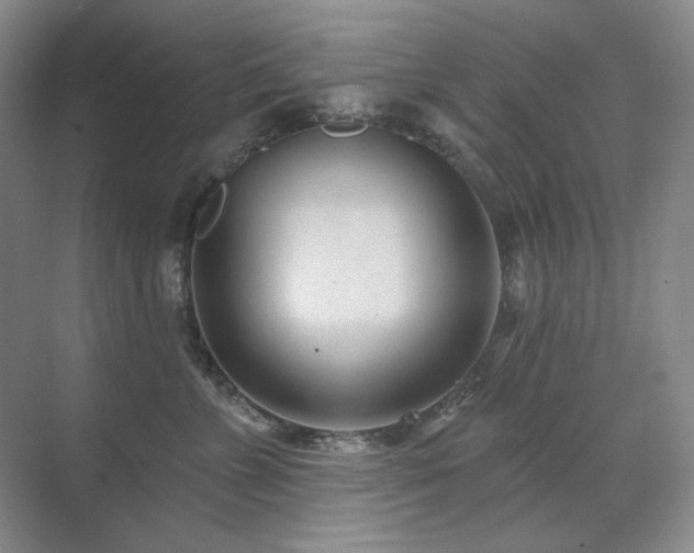 X0000071820715200606301253
