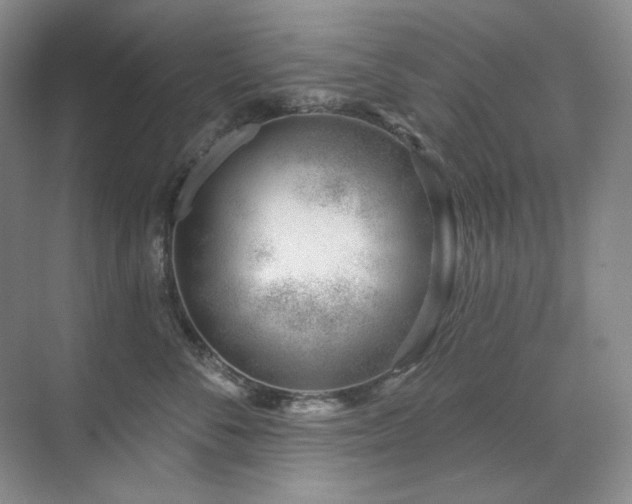 X0000071820716200606301253