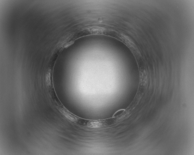 X0000071820717200606301253