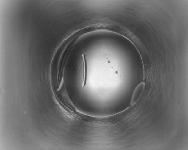 X0000071820722200606301252